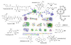 Seyedsayamdost Group